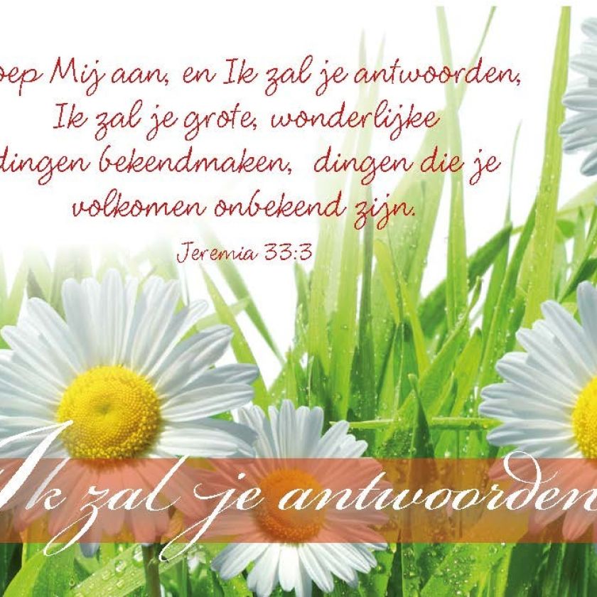 Minikaart Ik zal je antwoorden - 46217 -  Minikaartjes bij MajesticAlly