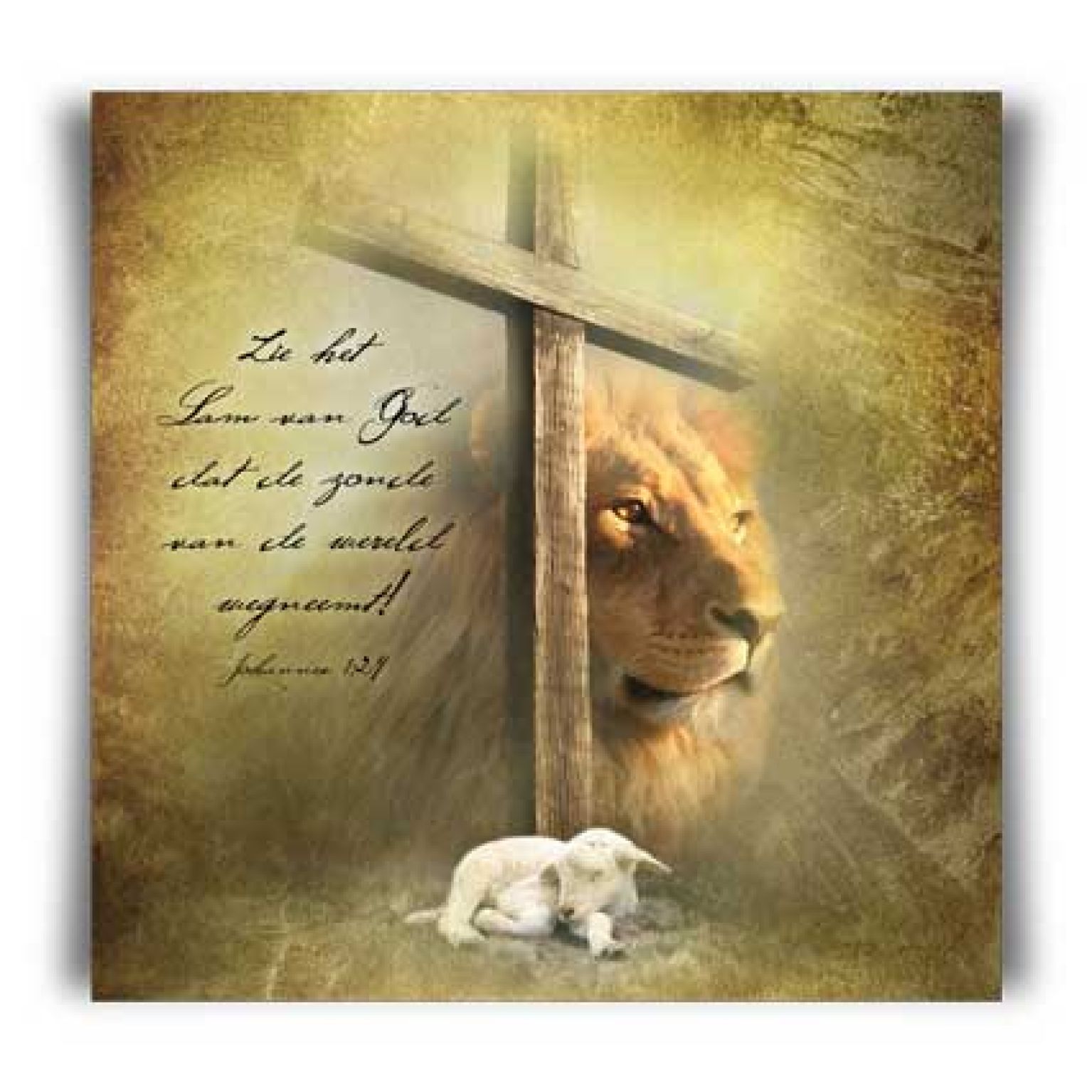 Kaart 'Zie het Lam van God' - MA11022 -  David Sörensen bij MajesticAlly