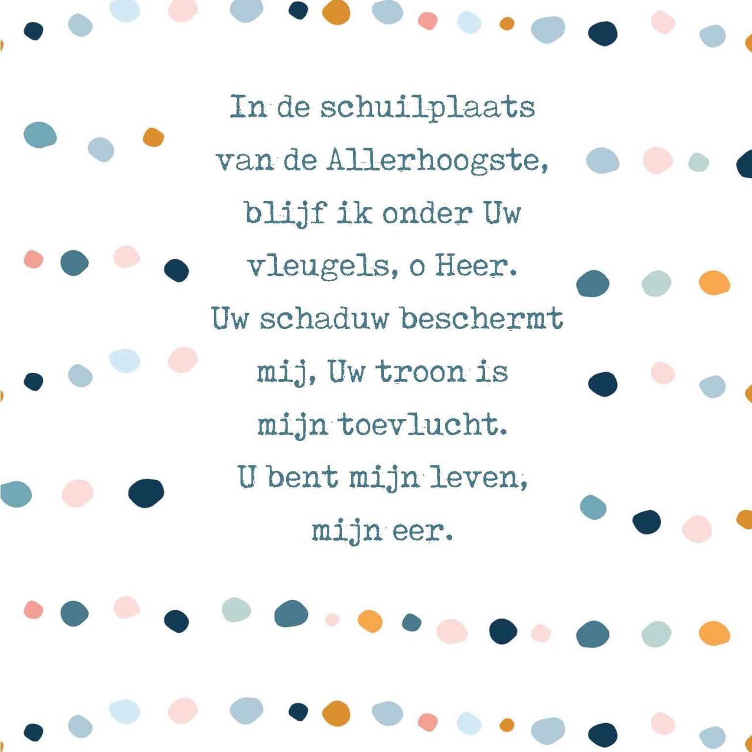 Poster A4  In de schuilplaats - Opwekking 502 - 552651P -  Posters bij MajesticAlly