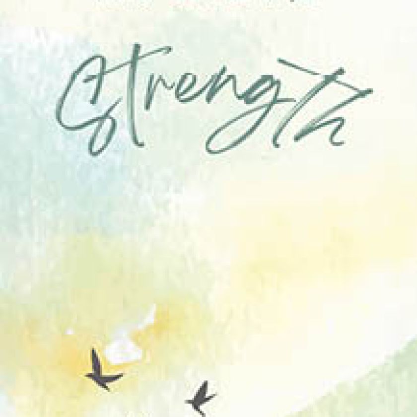 MA23207 Boekenlegger Strength 3a7922dd