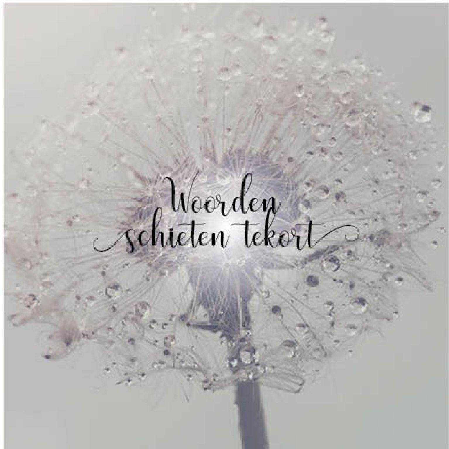 Kaart 'Woorden schieten tekort - blaasbloem' - MA34022 -  Stille momenten bij MajesticAlly