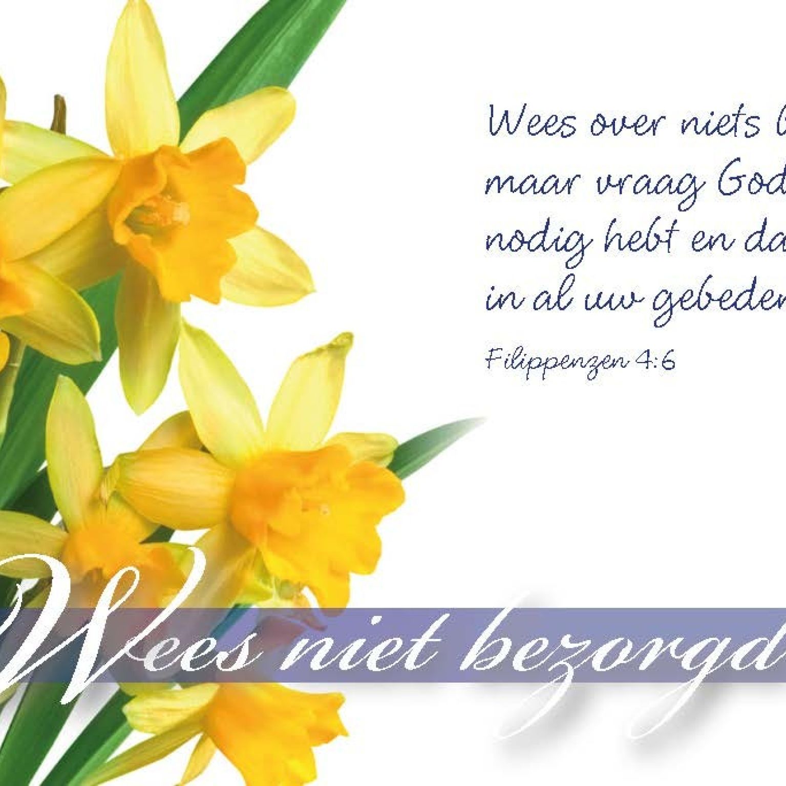 Minikaart wees niet bezorgd - 46215 -  Minikaartjes bij MajesticAlly