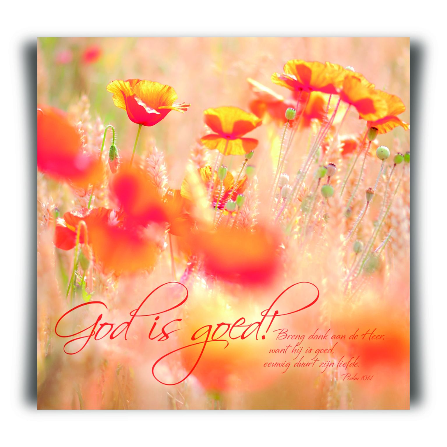 Choice kaartje God is goed - MA11208 -  Minikaartjes - vierkant bij MajesticAlly