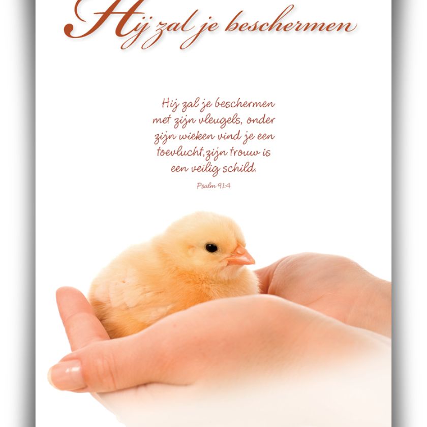 Poster A4 'Hij zal je beschermen' - 46818 -  Wanddeco/posters bij MajesticAlly