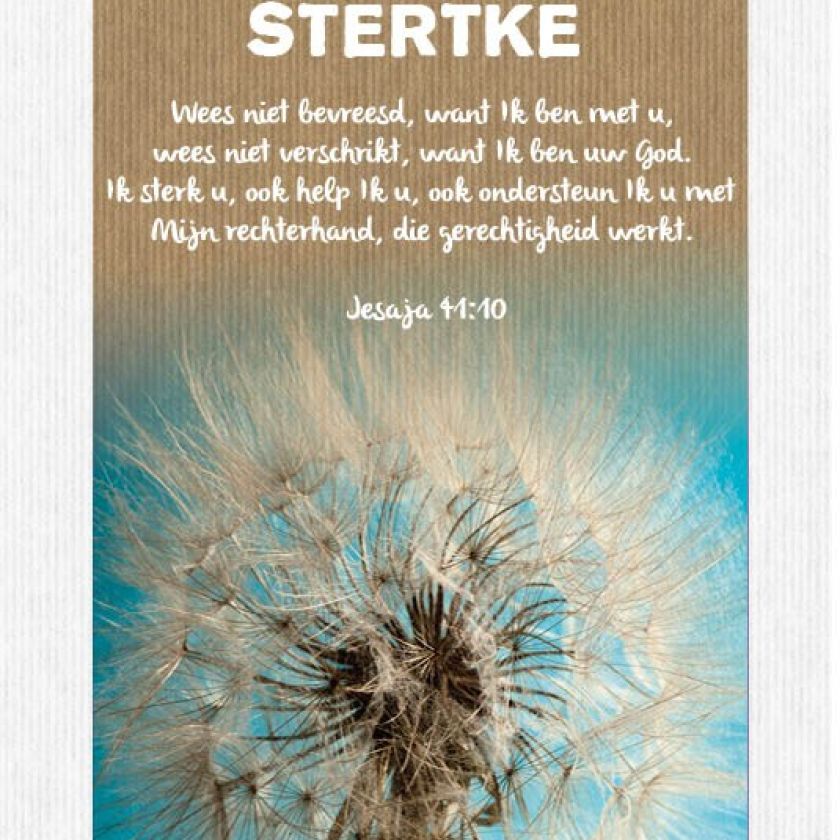 Sponsorpakket 40 kaarten met envelop - MA17000S -  Leef!  bij MajesticAlly