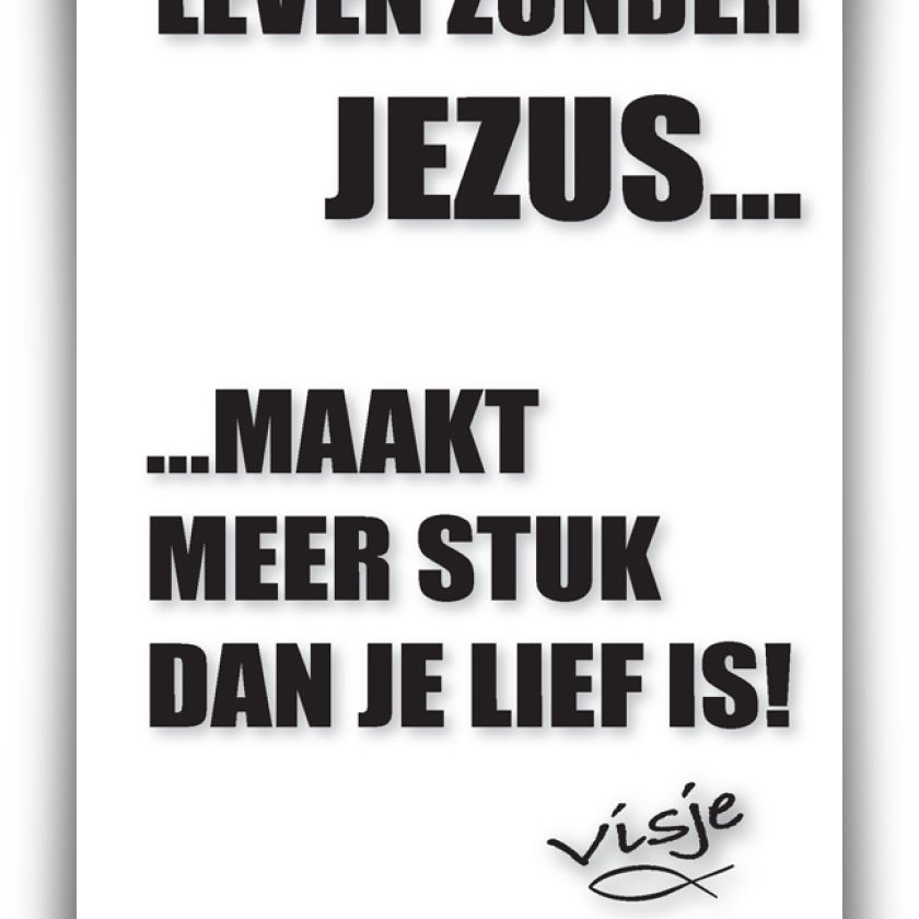 * Evangelisatie voordeelpakket 240 Visje minikaarten - 46000 -  Voordeelpakjes bij MajesticAlly