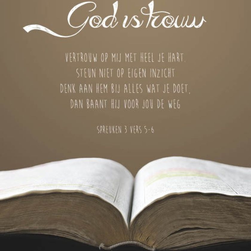 Sponsorpakket 40 kaarten met envelop - MA17000S -  Leef!  bij MajesticAlly