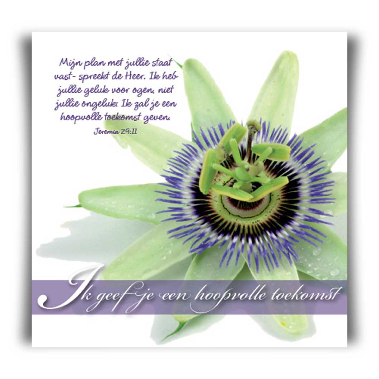 Choice kaartje Ik geef je een hoopvolle - 42047 -  Minikaartjes - vierkant bij MajesticAlly