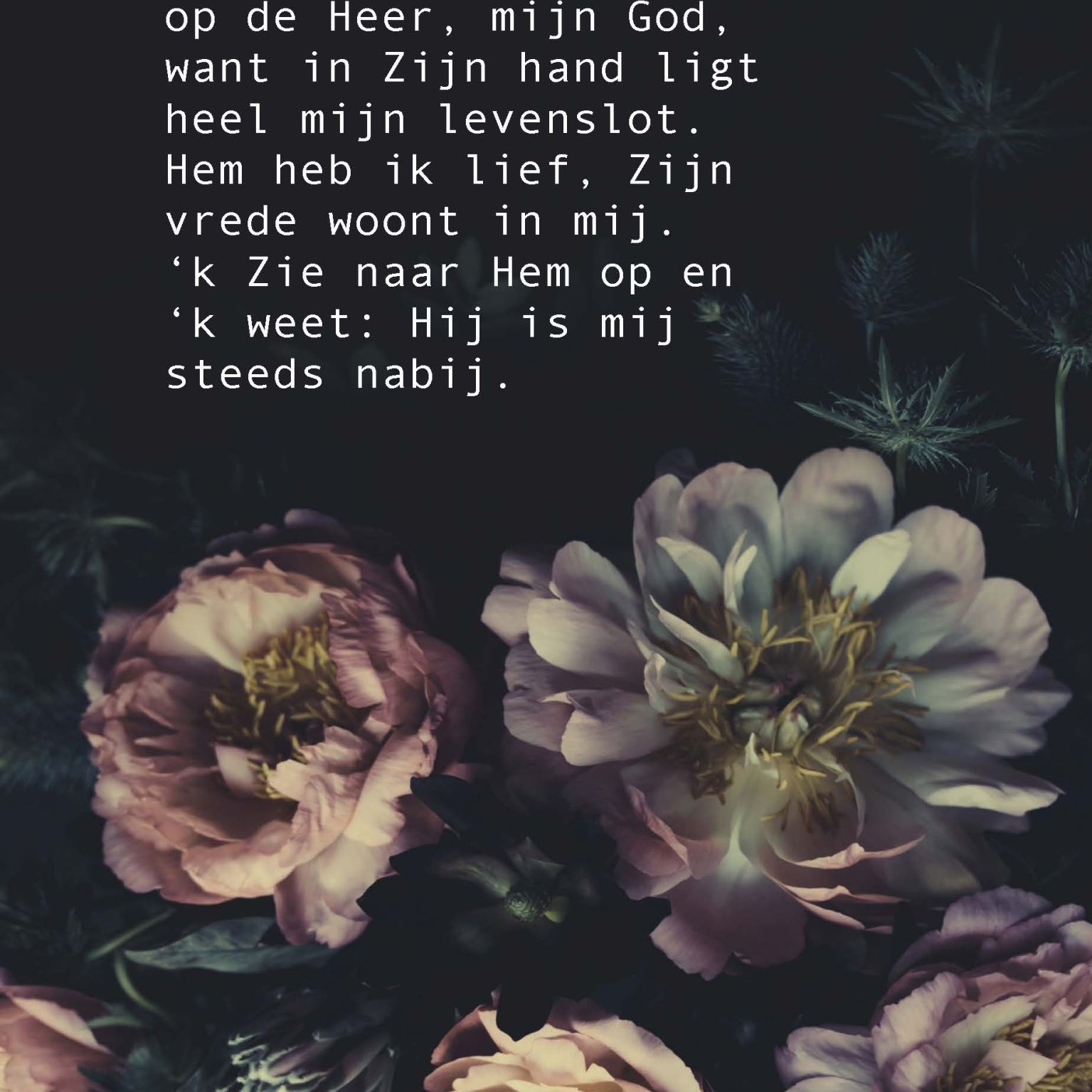 Opwekking 42 - 552658 -  Opwekking bij MajesticAlly