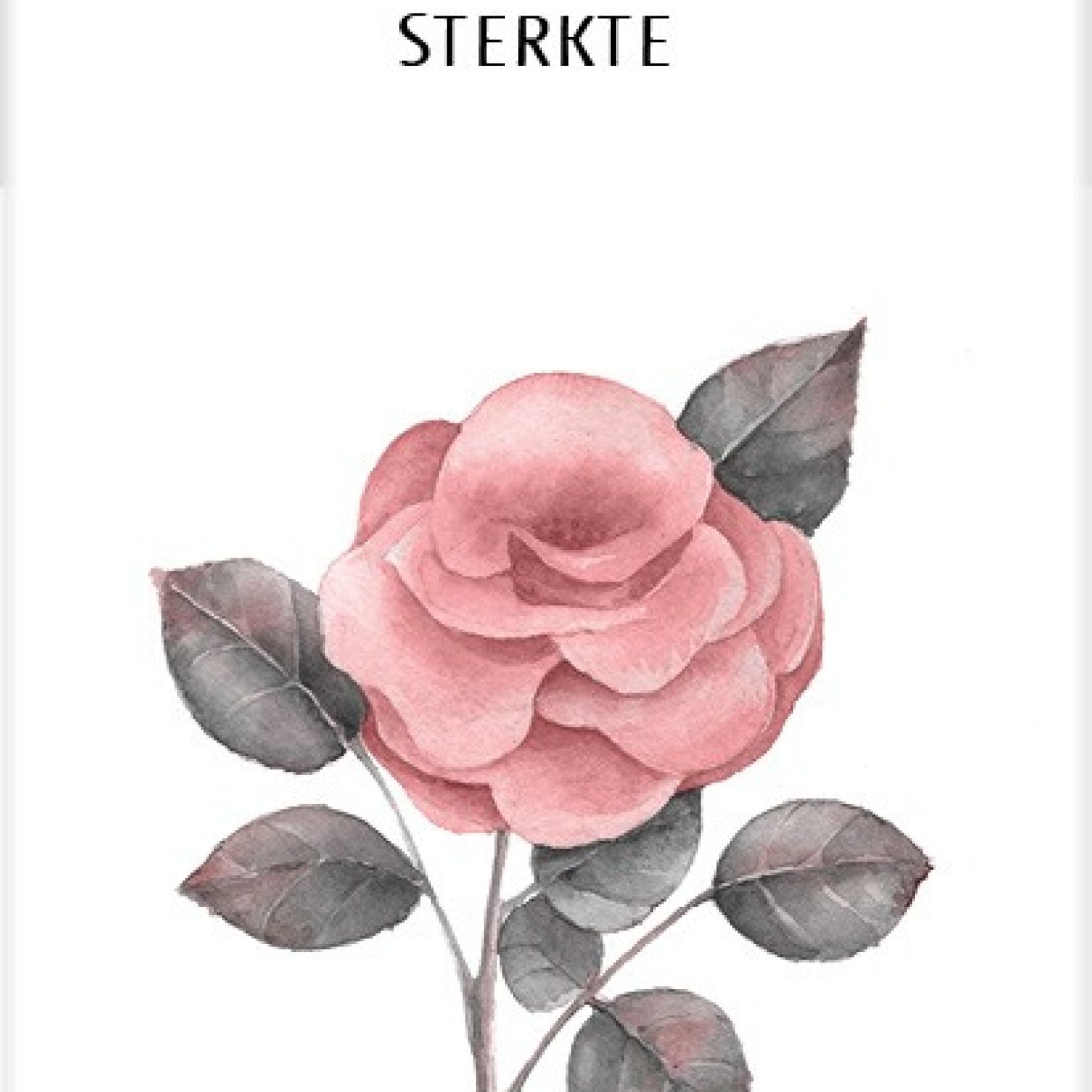 * Voordeelpakket  kaarten Beautiful Day, 42 kaarten - MA25099 -  Voordeelpakjes bij MajesticAlly