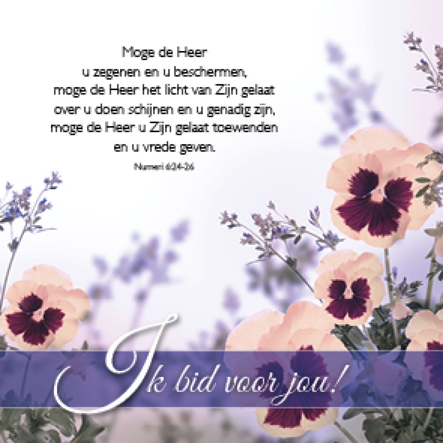 Kadokaartje x12 Ik bid voor jou - MA46211xx -  Sale bij MajesticAlly