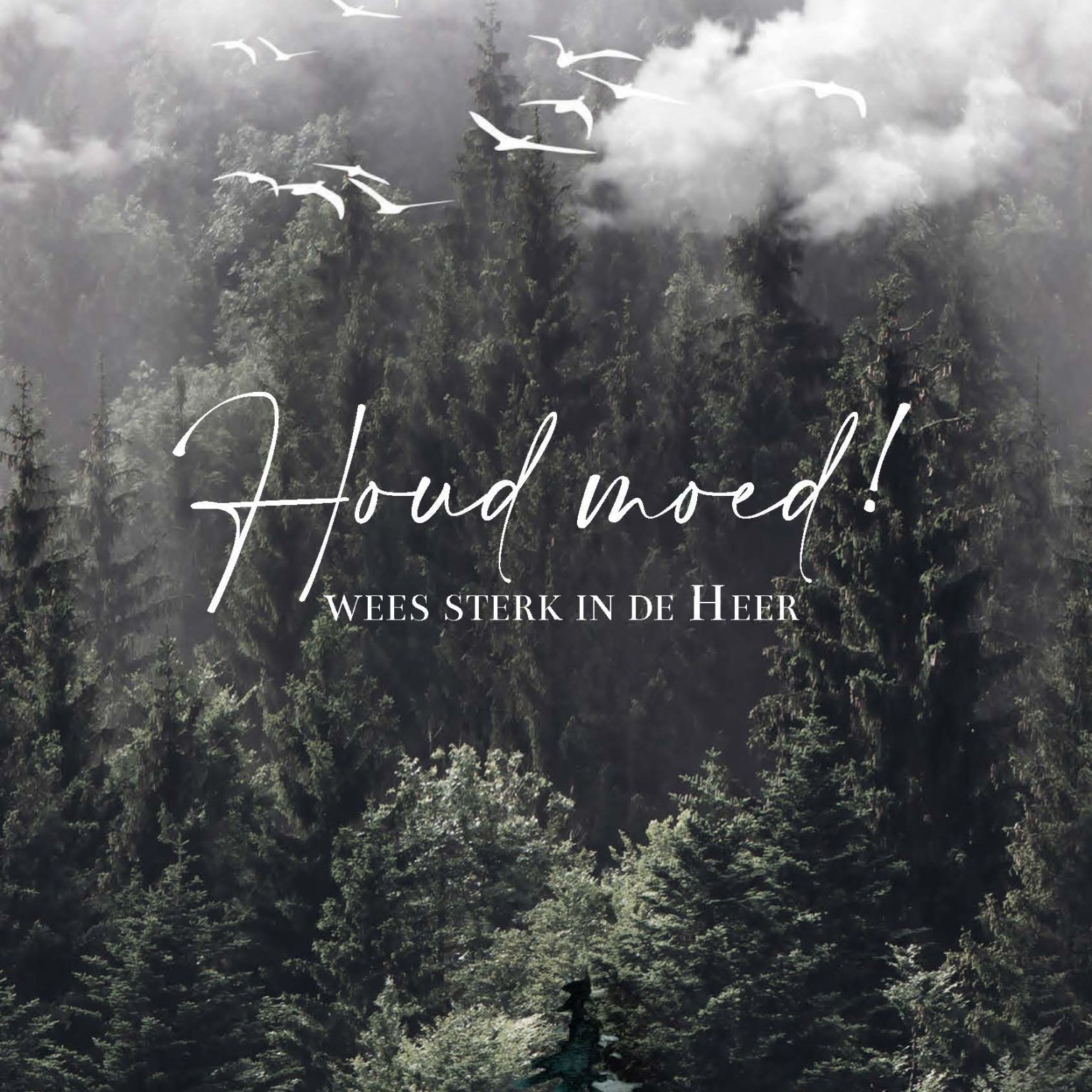 MA55047 - Wenskaart 'Houd moed'