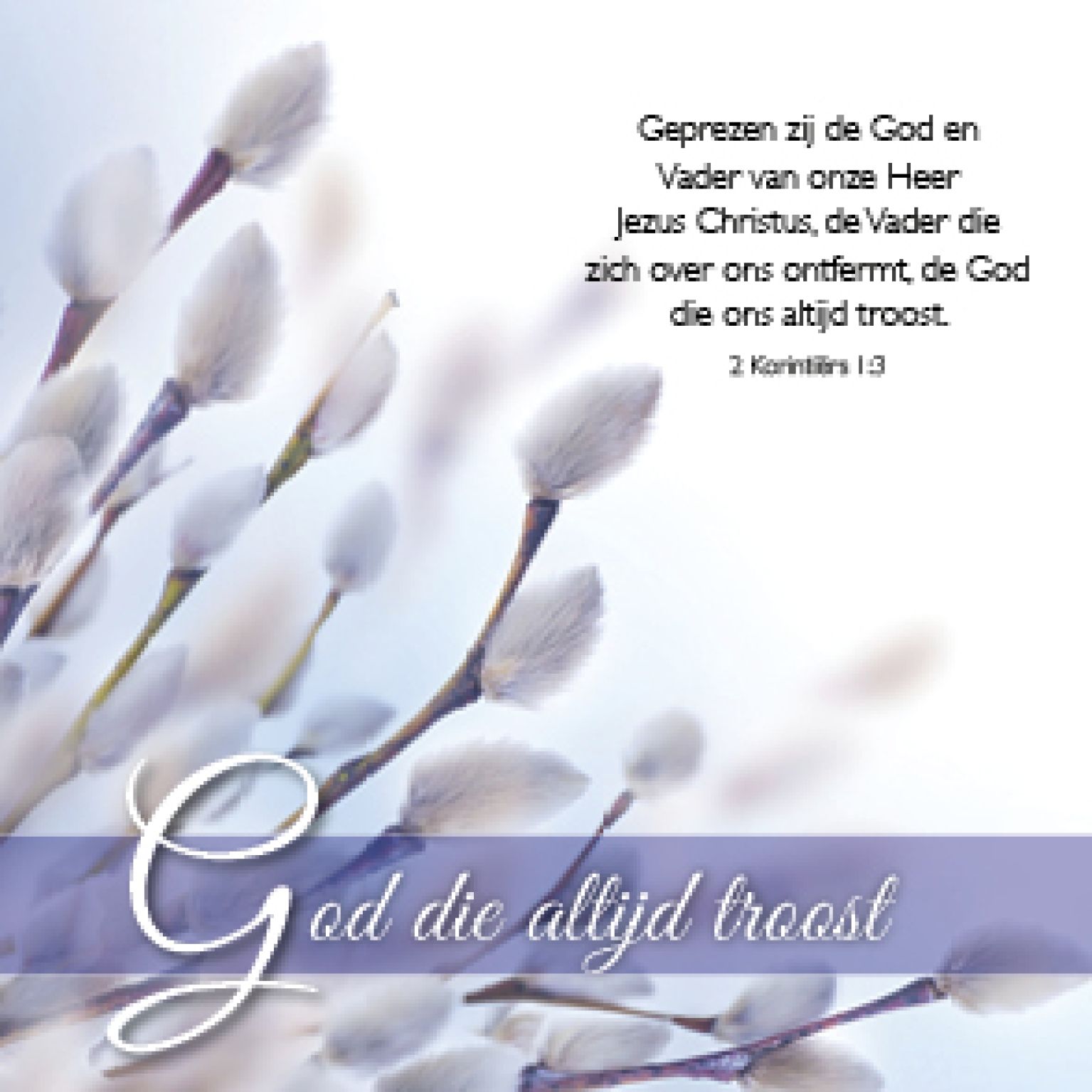 Kadokaartje x12 God die altijd troost - MA46206xx -  Sale bij MajesticAlly