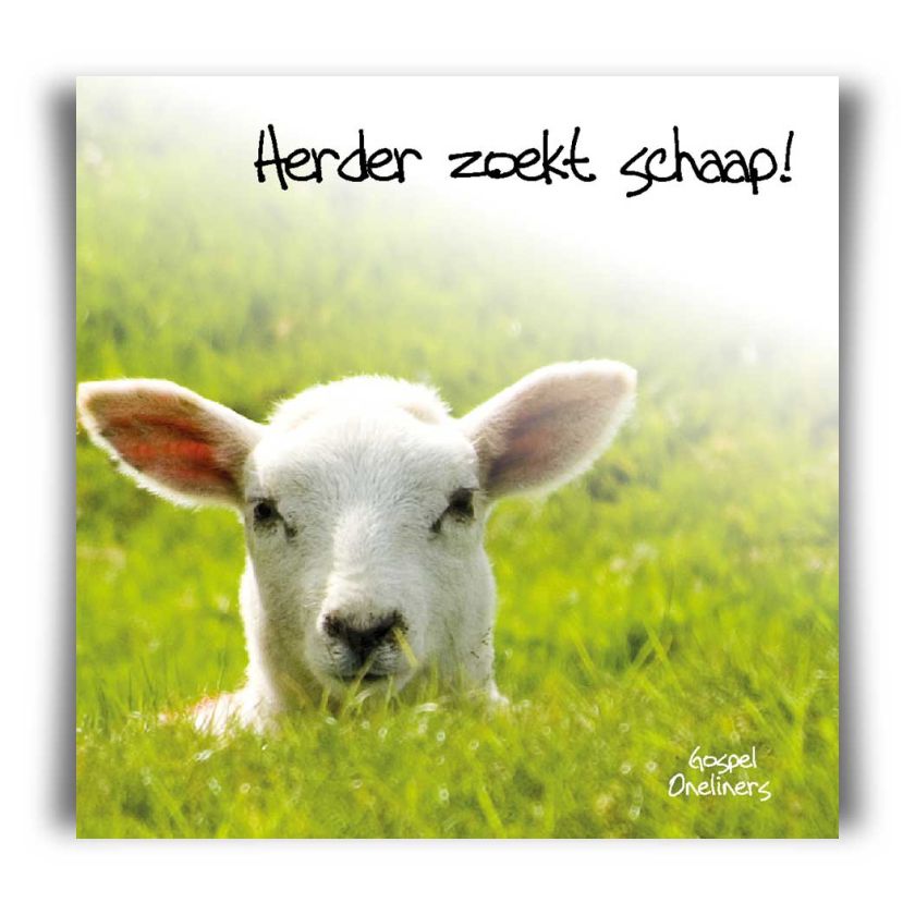Choice kaartje herder zoekt schaap - MA10111 -  Minikaartjes - vierkant bij MajesticAlly