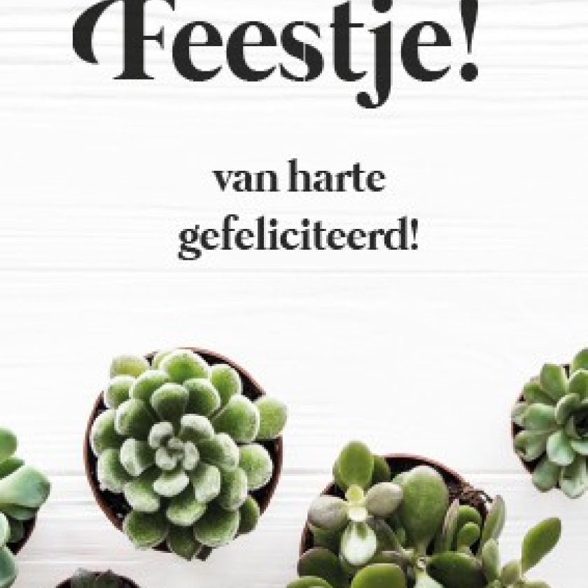 Minikaart 'Feestje!' - 552602MK -  Minikaartjes bij MajesticAlly