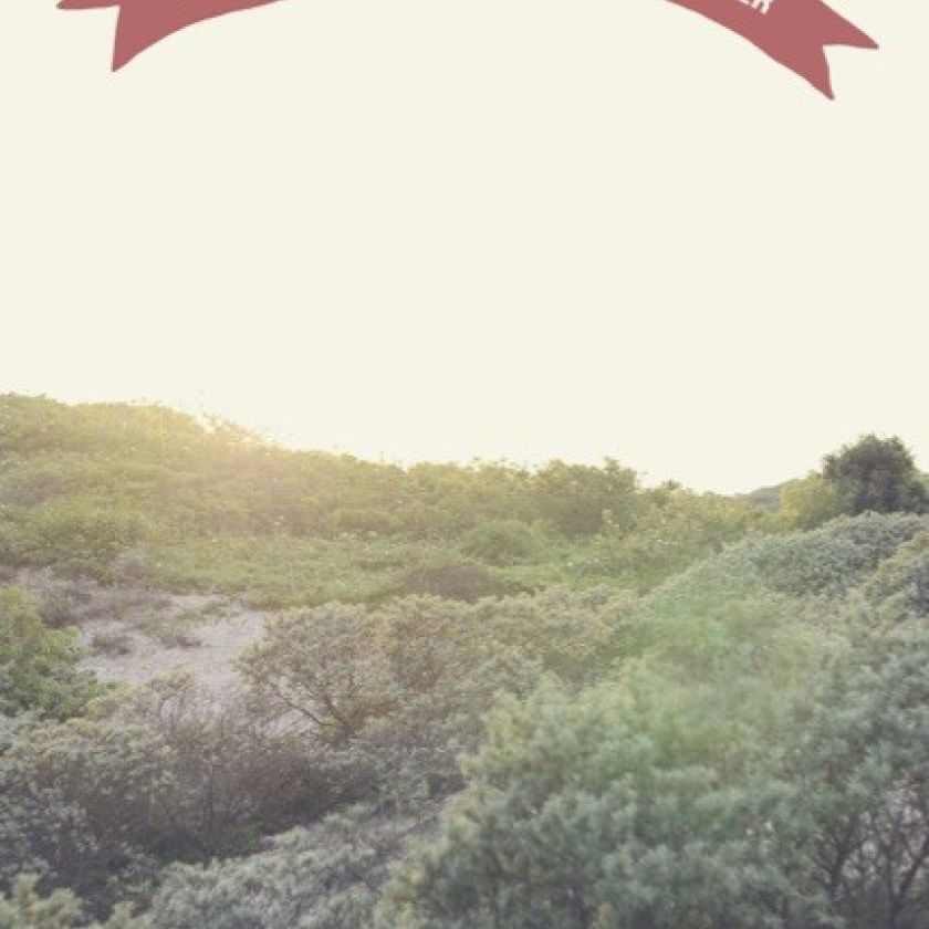 Opwekking 702 - 552679-S -  Kaarten bij MajesticAlly