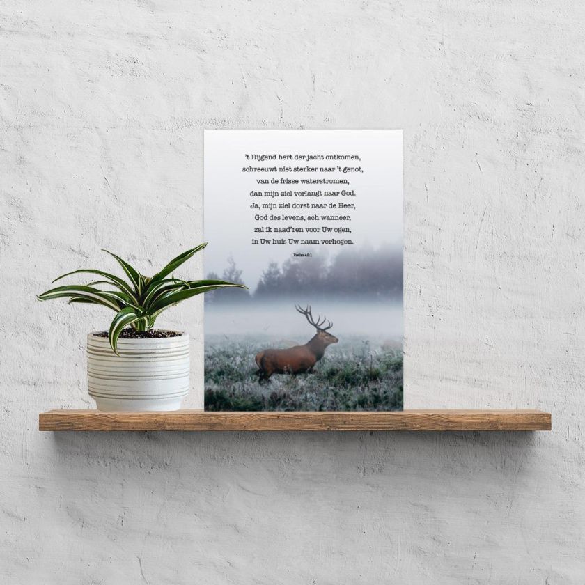 200006182 1 4bc5e533