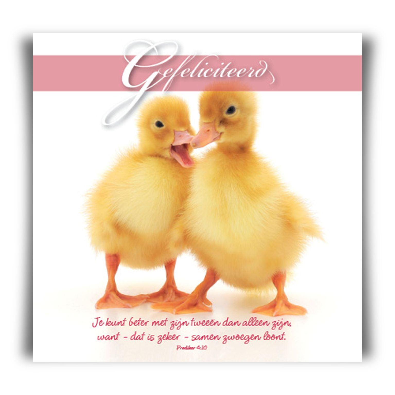 Prentbriefkaart 'Gefeliciteerd met jullie huwelijk'