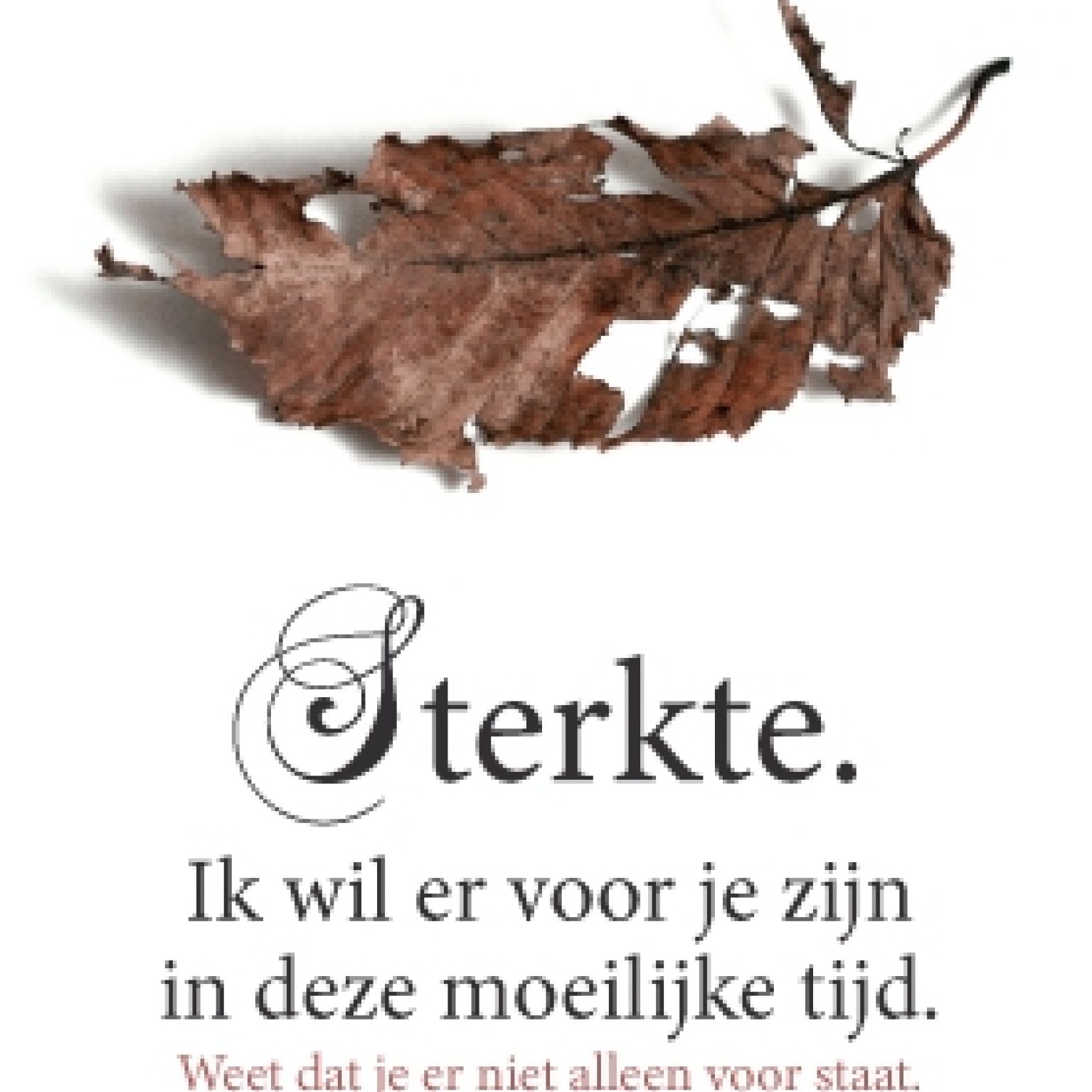 Sterkte - 552585 -  Sterkte & Deelneming bij MajesticAlly