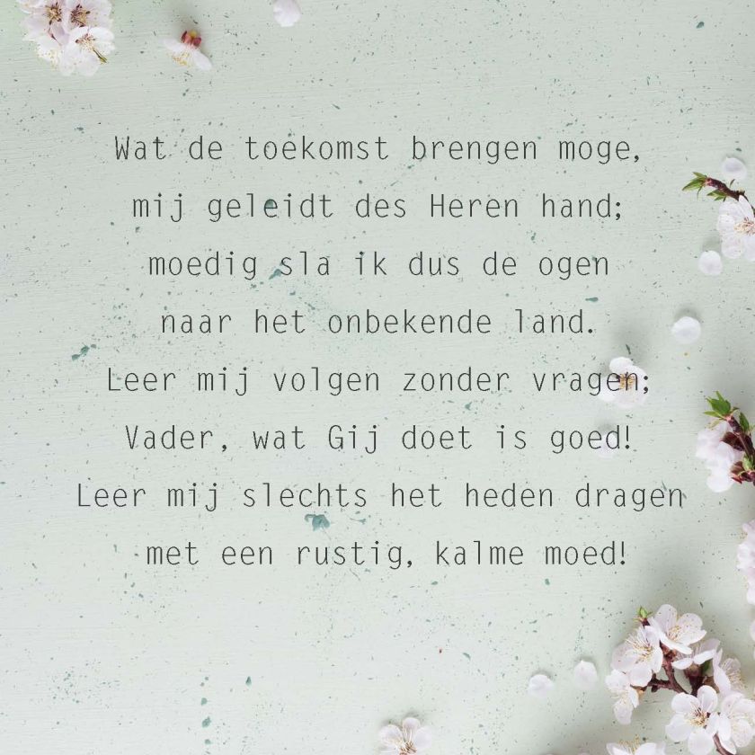 Opwekking 377 - 552677 -  Opwekking bij MajesticAlly