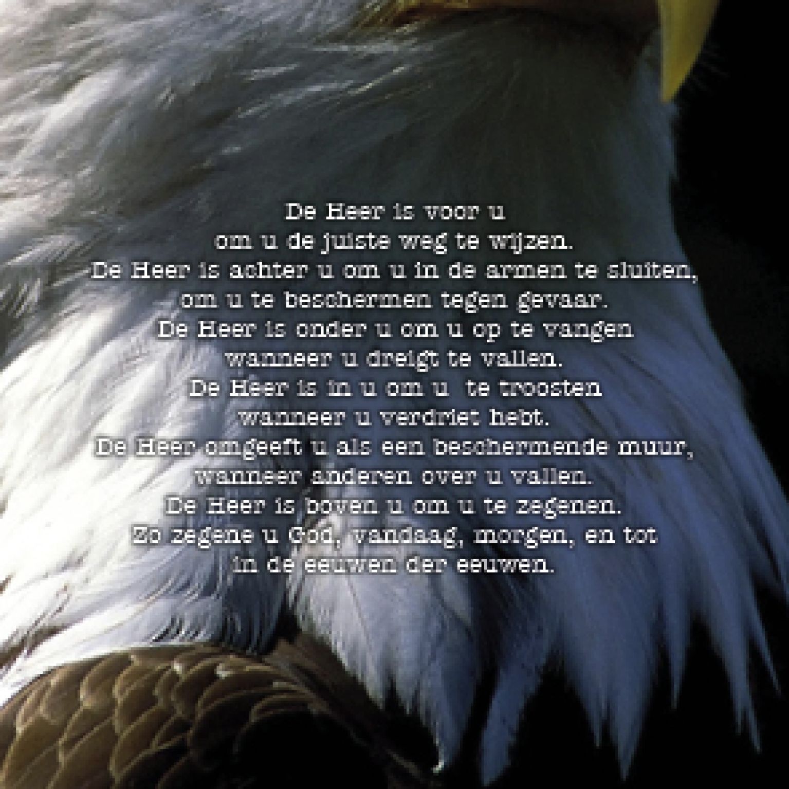 Kaart 'De Heer is voor u' - MA15024 -  Lifestyle bij MajesticAlly