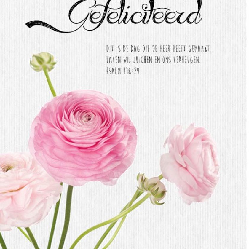 Sponsorpakket 40 kaarten met envelop - MA17000S -  Leef!  bij MajesticAlly