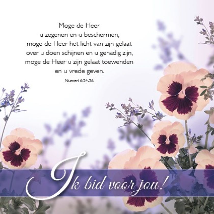 Voordeelpakket 24 kaarten Blessings - MA46250 -  Voordeelpakjes bij MajesticAlly