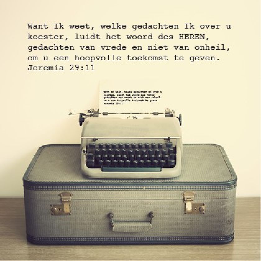 * Voordeelpakket Lifestyle  - 36 kaarten - MA12200 -  Pakjes kaarten bij MajesticAlly