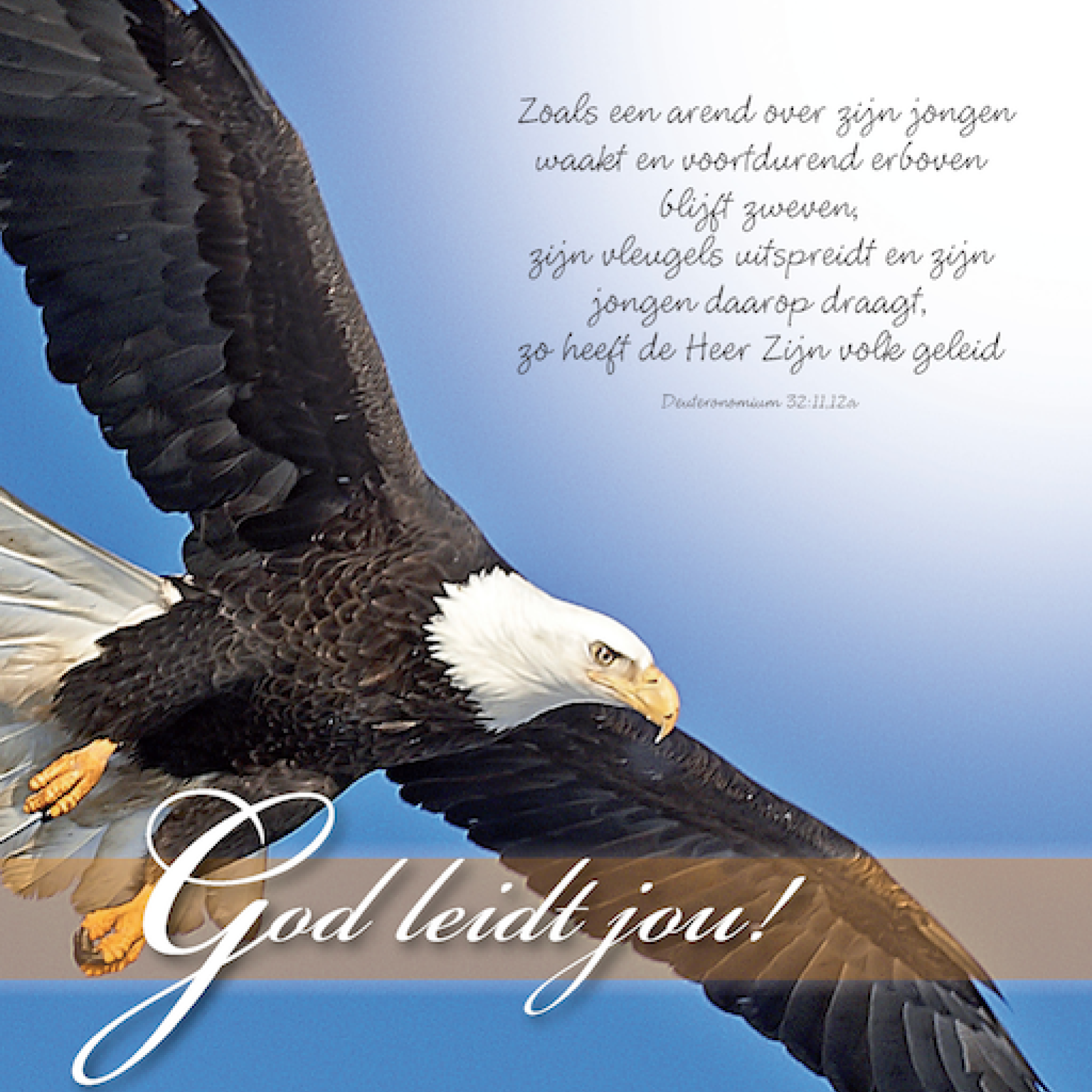 Voordeelpakket 25 Square Prentbriefkaarten - MA46251 -  Voordeelpakjes bij MajesticAlly