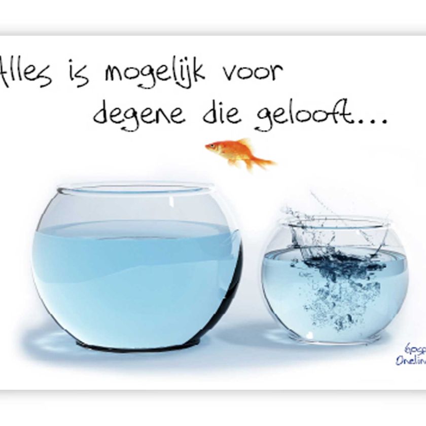 Prentbriefkaart alles is mogelijk - 46303 -  Quotes