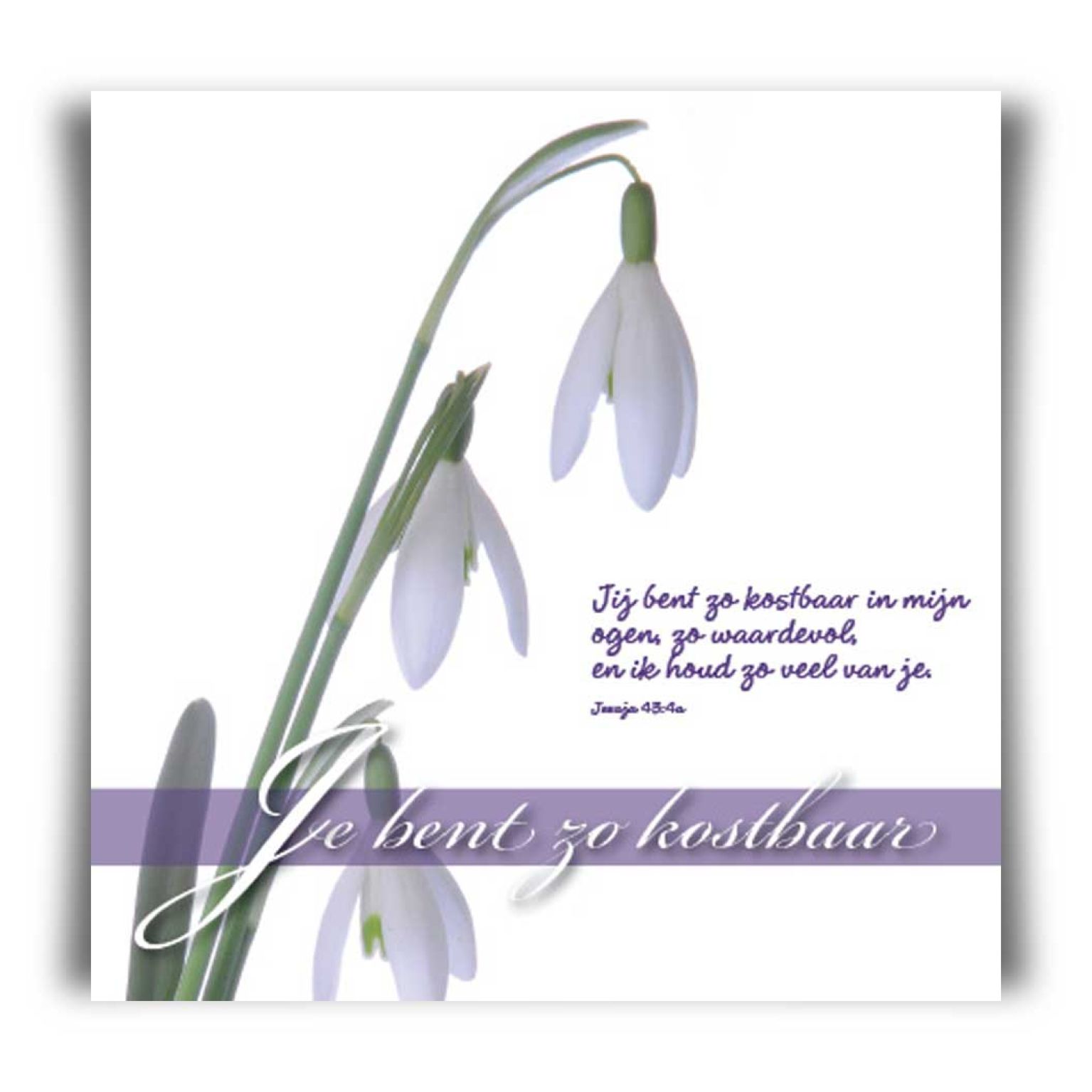 Choice kaartje je bent zo kostbaar - 42040 -  Minikaartjes - vierkant bij MajesticAlly