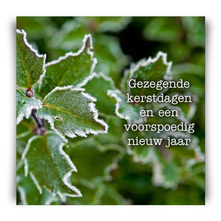 Groot pakket diverse kerstkaarten - 100 stuks - MA12096 -  Grote pakketten  bij MajesticAlly