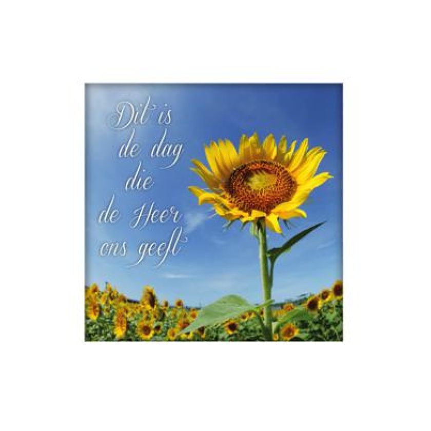 Wenskaart 'Dit is de dag die de Heer ons geeft' - MA14027 -  Living Melodies bij MajesticAlly