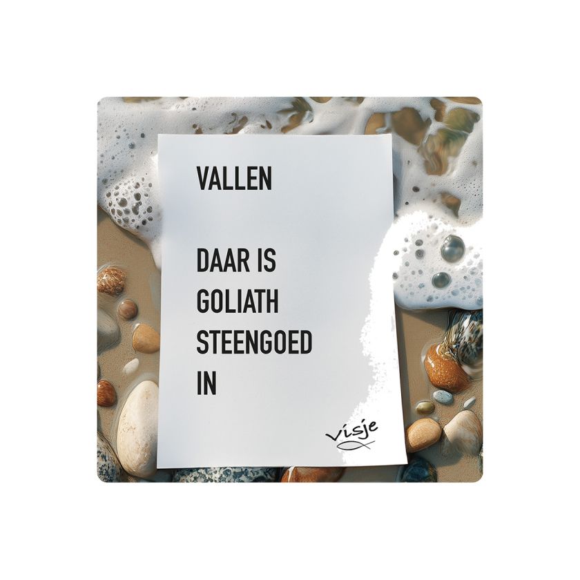 V16002 Visje Cadeaubordjes 15x15 Vallen Goliath 564814af