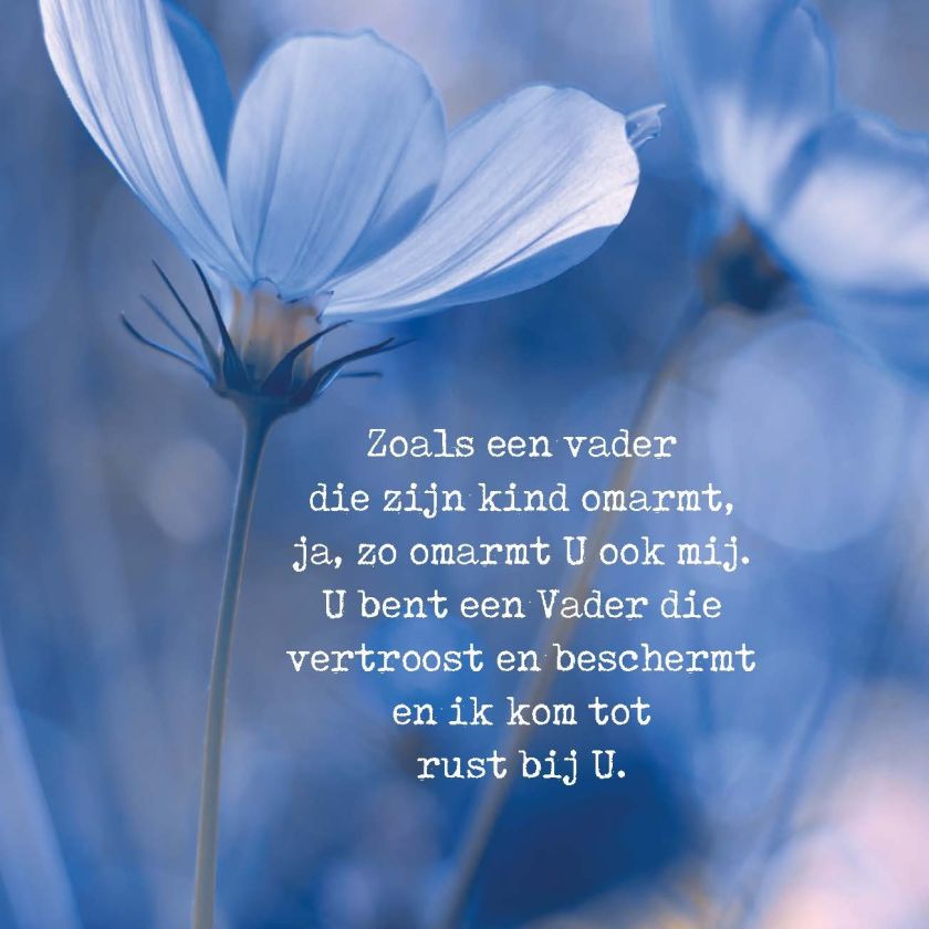 Opwekking 462 - 552671 -  Opwekking bij MajesticAlly