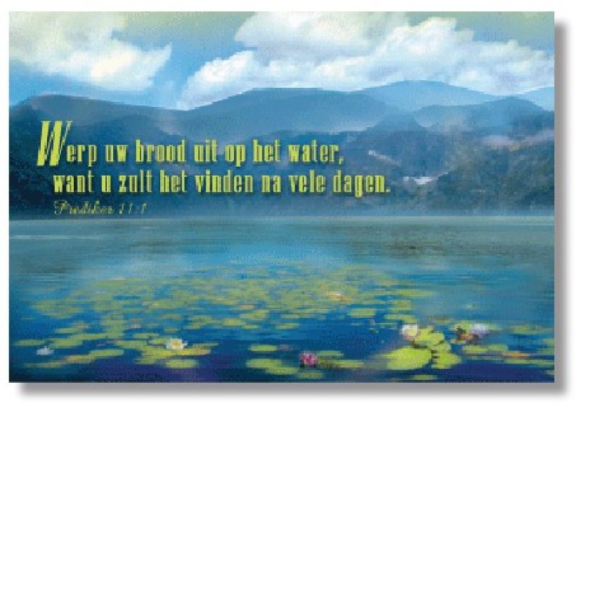 10x Kaart 'Werp uw brood uit' - 44608 -  Sale bij MajesticAlly