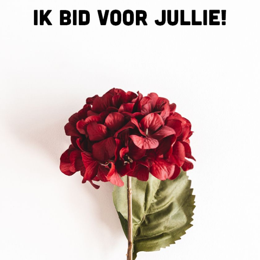 MA38098 Voordeelkaart 'Ik bid voor jullie - hortensia'