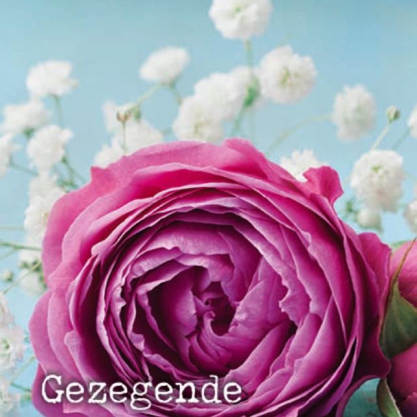 Voordeelkaart 'Gezegende paasdagen - bloem rose' - MA38034 -  Pasen bij MajesticAlly