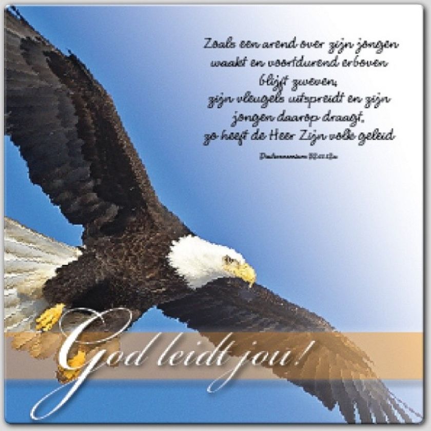 Wenskaart 'God leidt jou' - 46172 -  Bemoediging bij MajesticAlly