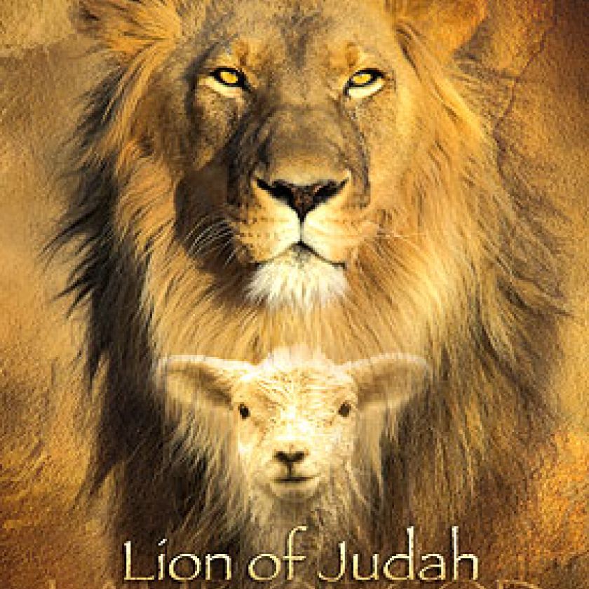 Poster 50x70  'Lion of Judah' - MA11338 -  Posters XL  bij MajesticAlly