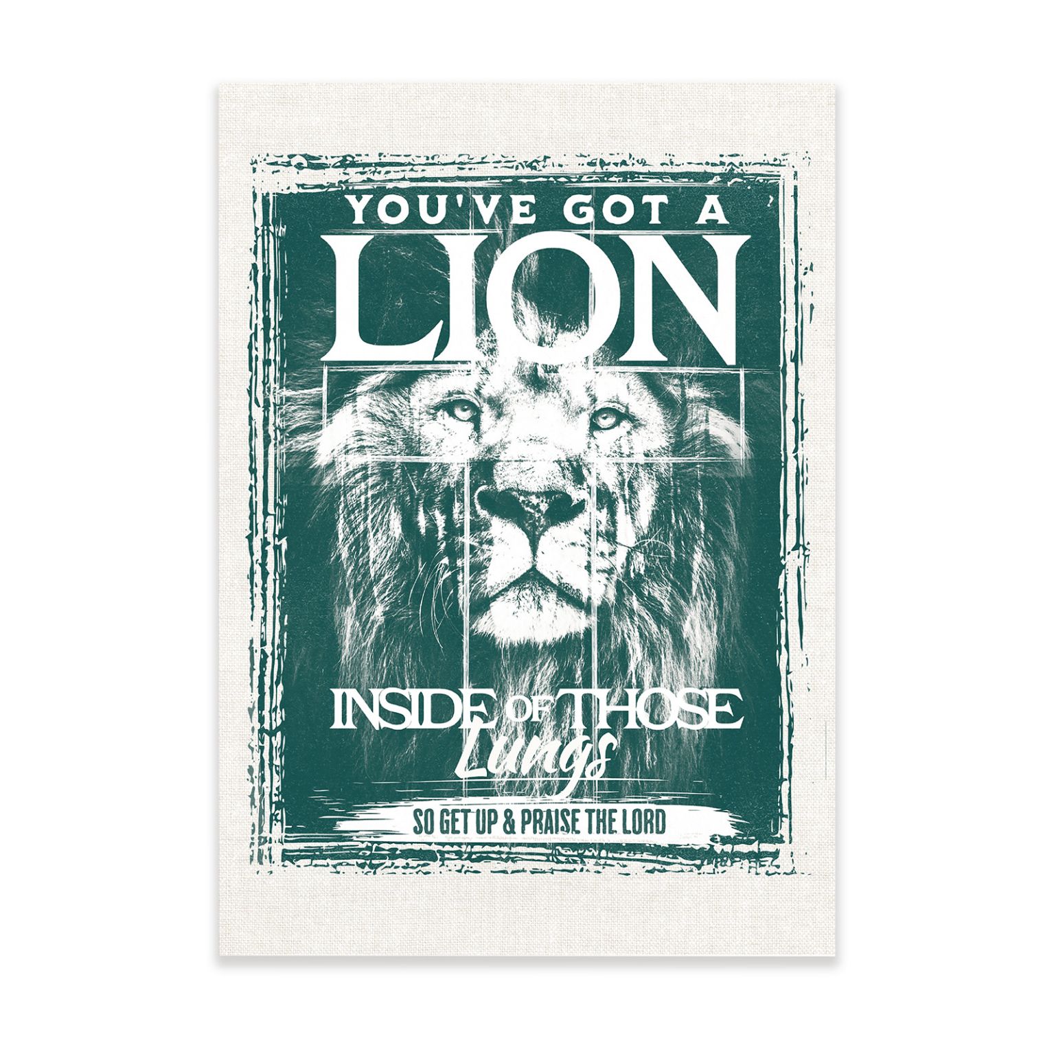 MA48338 Lion 5c479247