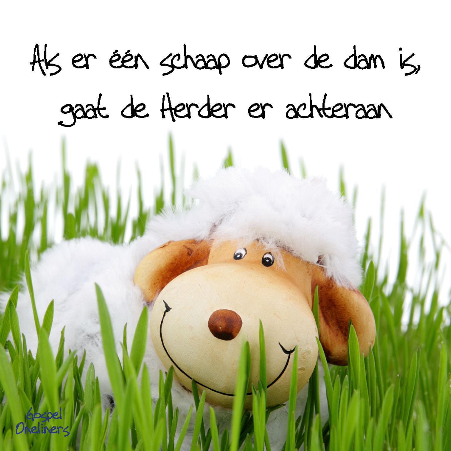 Choice kaartje als er een schaap over de - MA10108 -  Minikaartjes - vierkant bij MajesticAlly