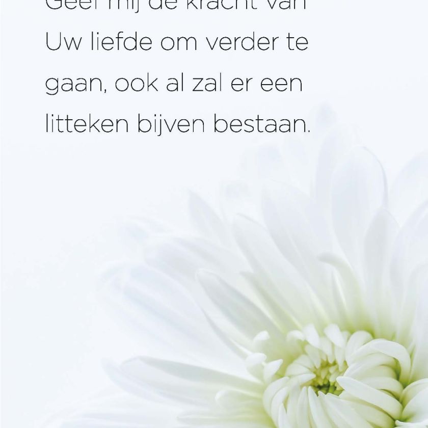 Opwekking 629 - 552667 -  Opwekking bij MajesticAlly