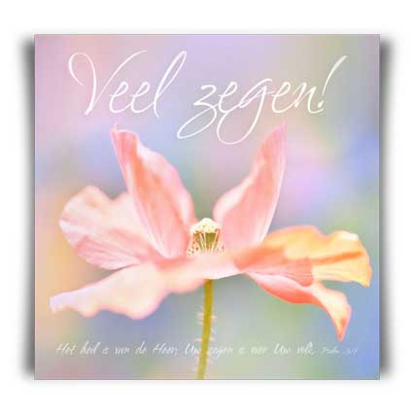 Kaart 'Veel zegen! - MA11013 -  David Sörensen bij MajesticAlly