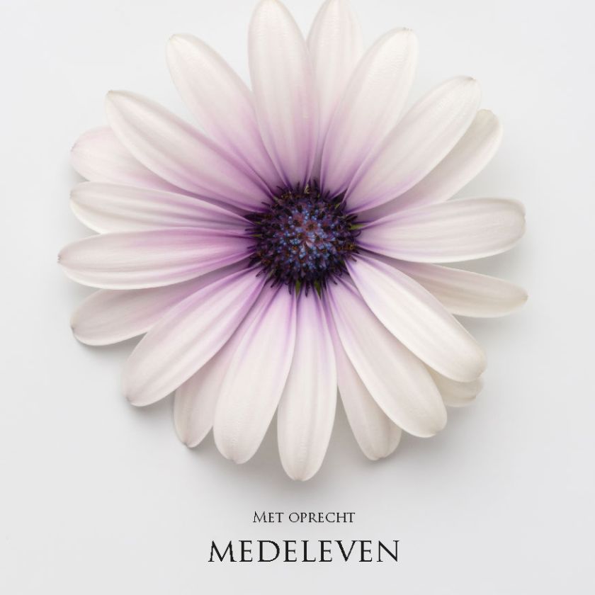 MA34114 - Vierkante wenskaart 'Met oprecht medeleven'