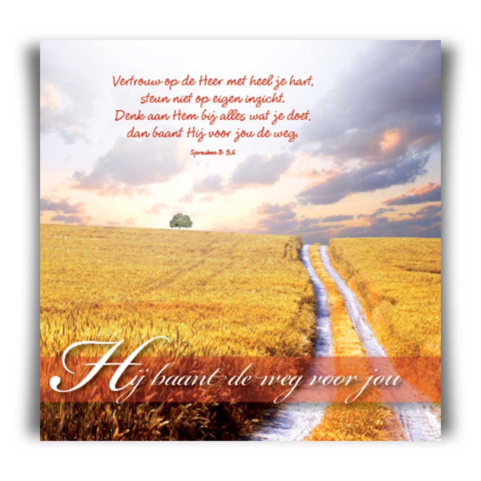 Choice kaartje moge de Here je zegenen - 42031 -  Minikaartjes - vierkant bij MajesticAlly