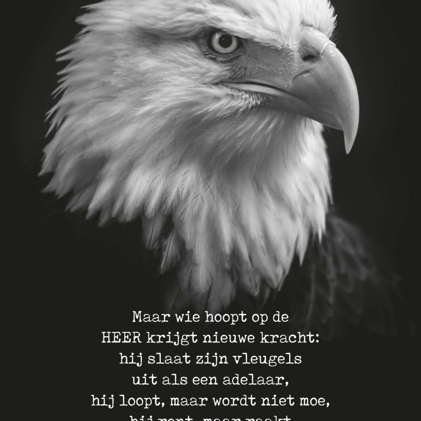 Metal Deco A3 'Wie hoopt op de Heer' - MA11622 -  Metal Deco bij MajesticAlly