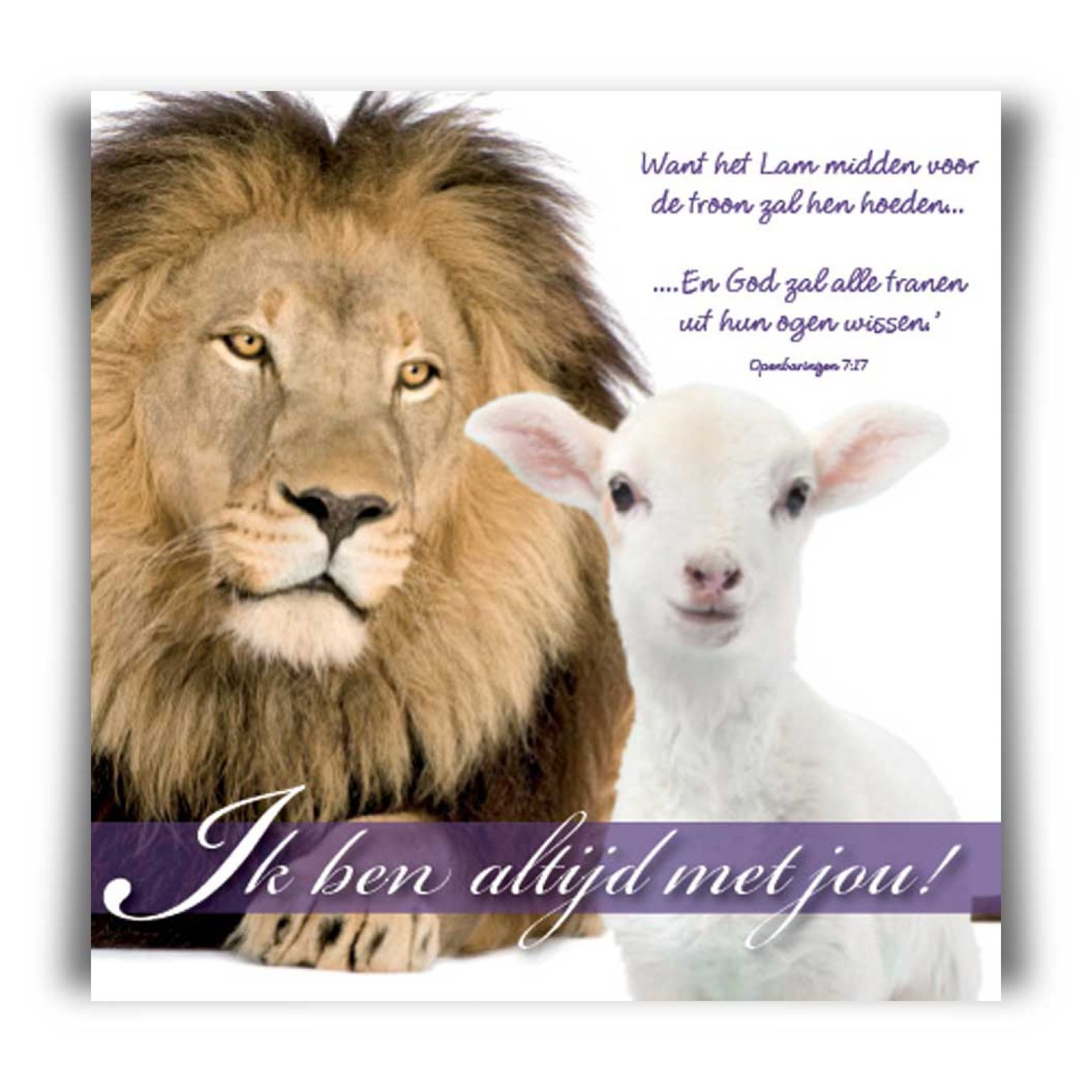 Choice kaartje Ik ben altijd met je - 42028 -  Minikaartjes - vierkant bij MajesticAlly