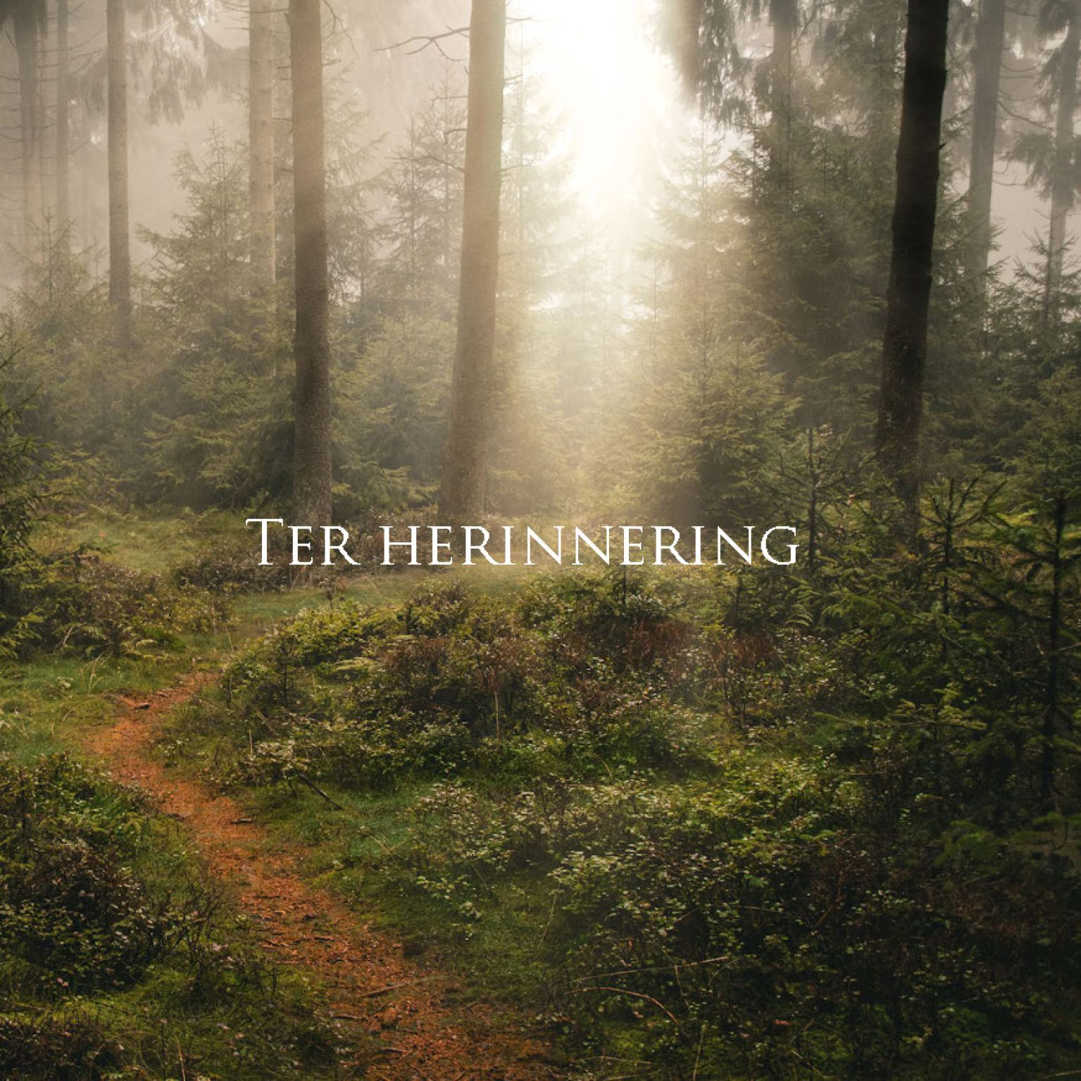 MA34124 - Vierkante wenskaart 'Ter herinnering'