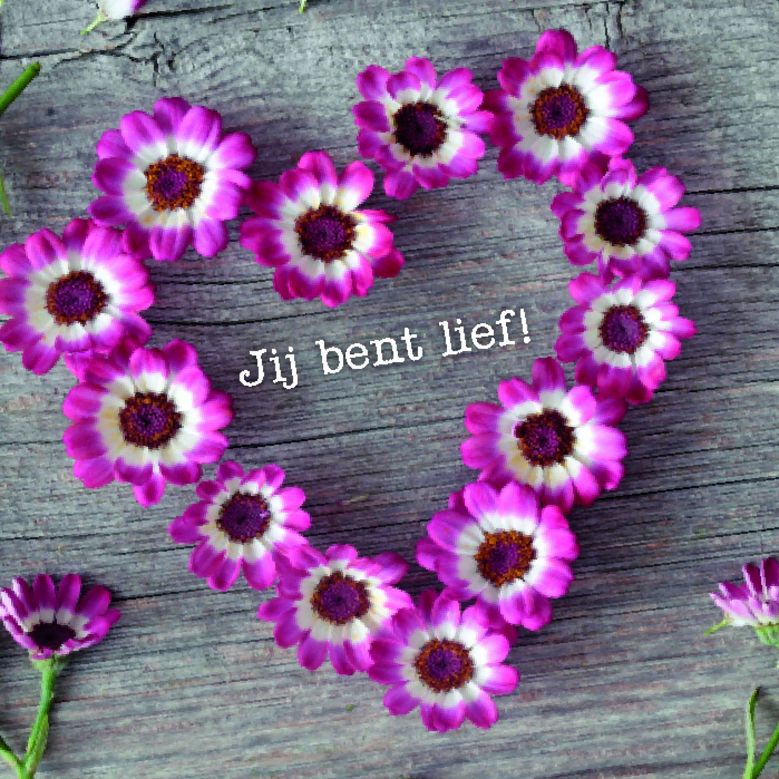 kaart ‘Jij bent lief’ - MA12301 -  Liefde & Vriendschap bij MajesticAlly
